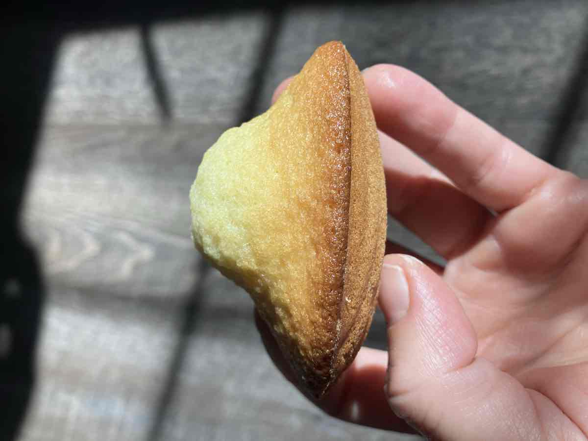 Madeleine